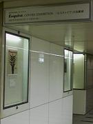 エスクァイアの表紙展